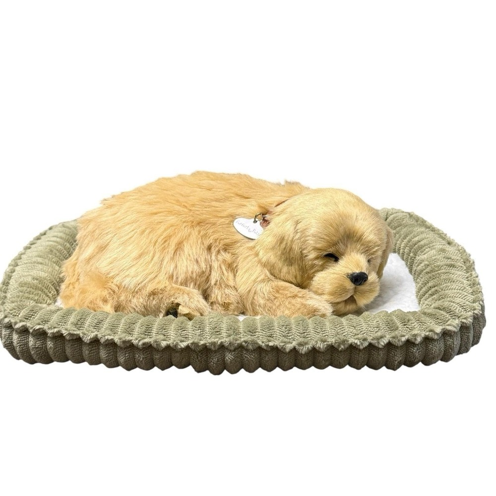 Perfect Petzzz Sleeping Golden Retriever Plush Dog Toy Realistic w/ Certificate